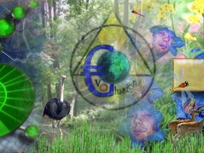 dimoe-evodschungle